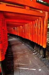 京都2014夏｜伏見稲荷