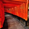 京都2014夏｜伏見稲荷