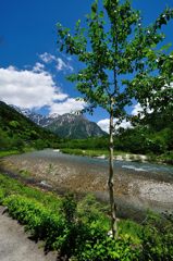 上高地｜河童橋へ向かう林道