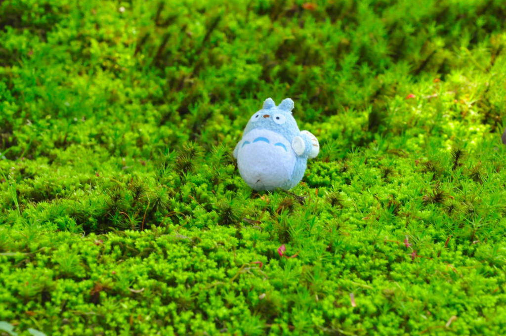トトロ＠兼六園