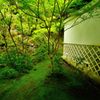 京都2014夏｜西明寺