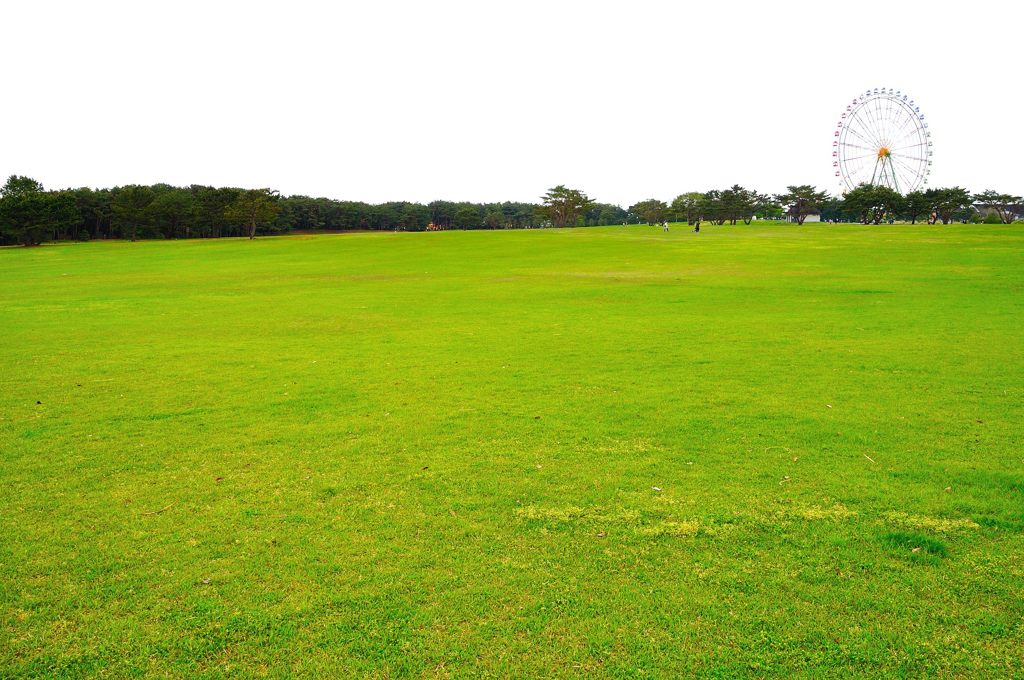 ひたちなか海浜公園｜大草原