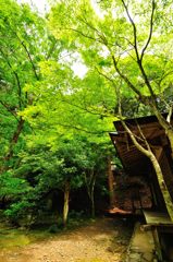 京都2014夏｜高山寺　開山堂