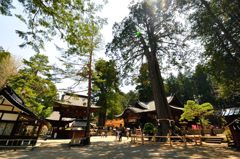 富士吉田｜北口本宮冨士浅間神社　境内の様子