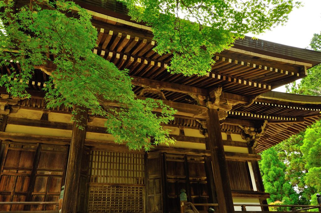 京都2014夏｜神護寺