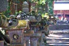 富士吉田｜北口本宮冨士浅間神社　参道