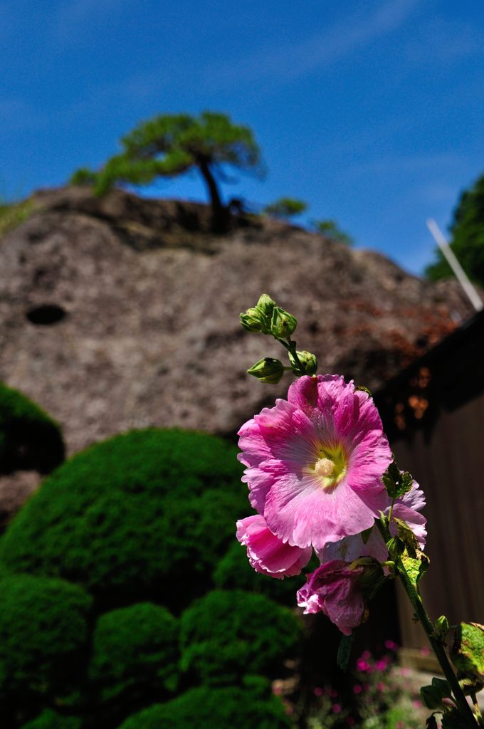 山形｜宝珠山 立石寺（山寺）　