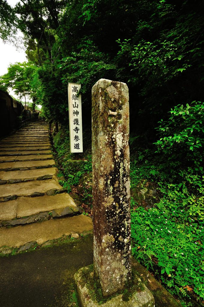 京都2014夏｜神護寺