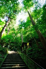 山形｜宝珠山 立石寺（山寺）石段