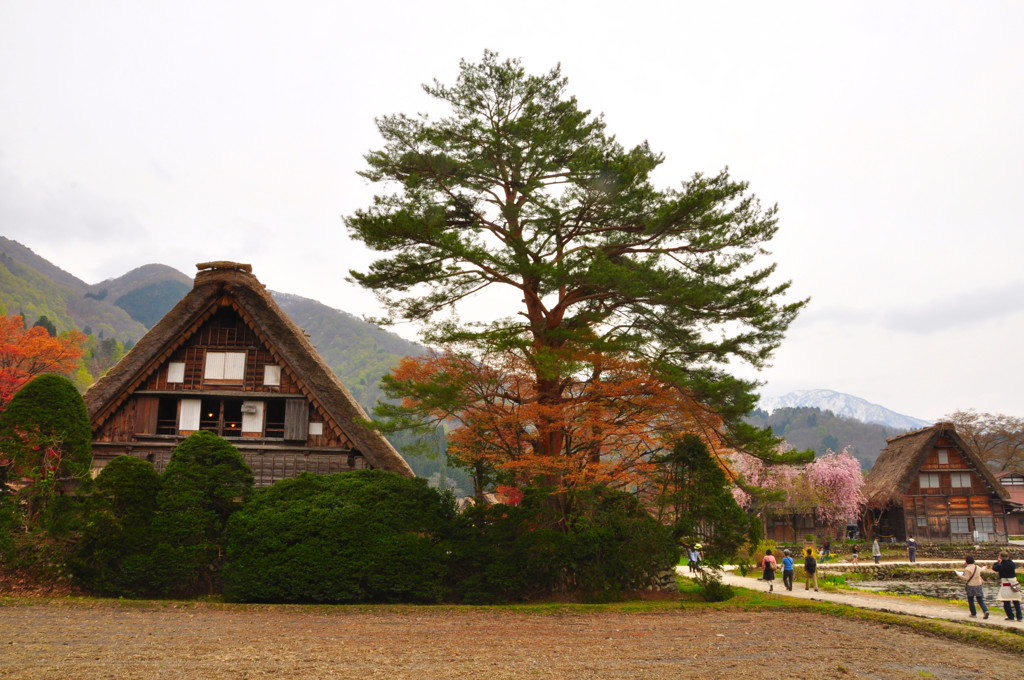 白川郷　和田家住宅
