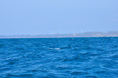 東尋坊！！遊覧船ツアー