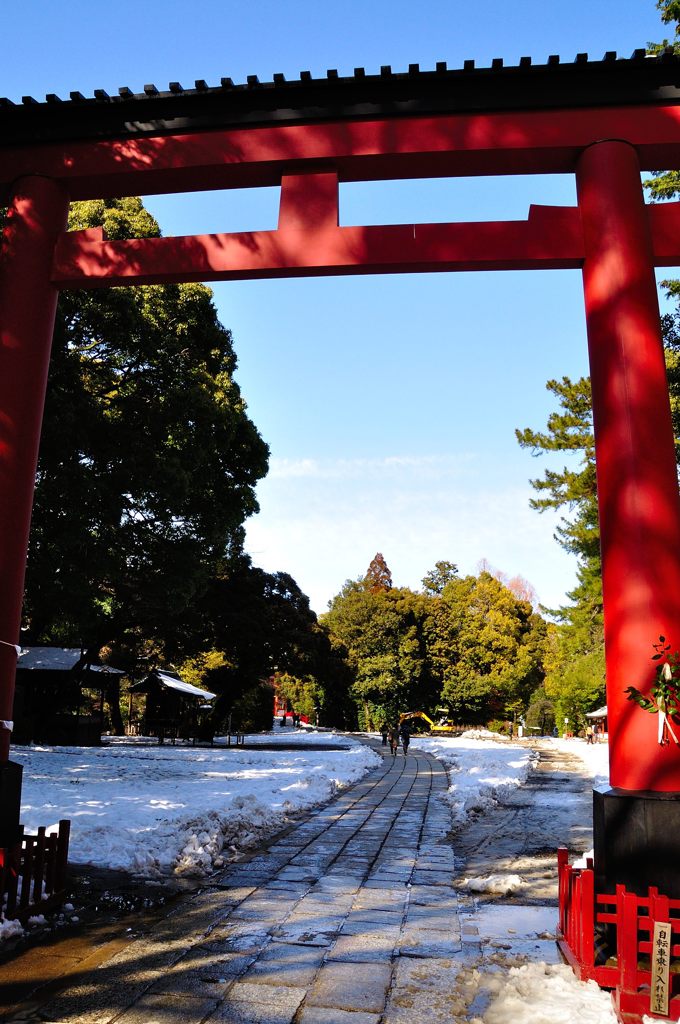 氷川神社｜三の鳥居