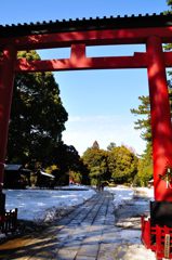 氷川神社｜三の鳥居