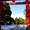 氷川神社｜三の鳥居