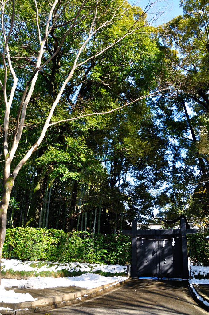 氷川神社｜参道沿いの冠木門