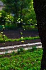 大宮花の丘公園