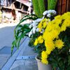 奈良井宿を彩る花々