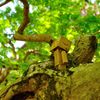 竹林院庭園にて