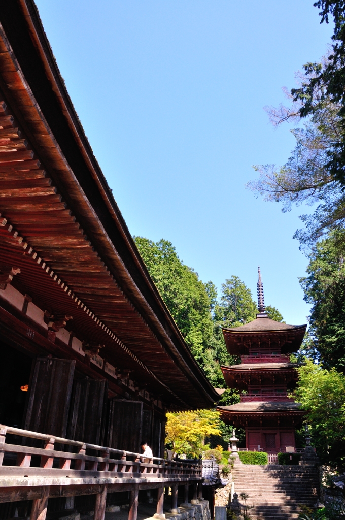長命寺　西国三十一番札所