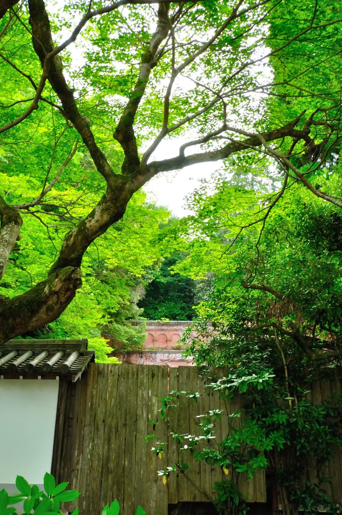 京都2014夏｜水路閣