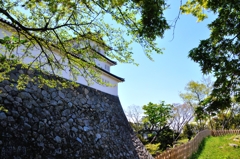 滋賀・奈良・_53