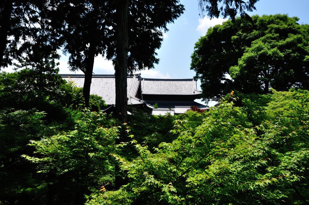 京都2014夏｜東福寺