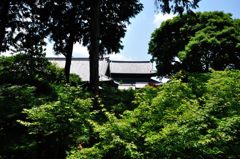 京都2014夏｜東福寺