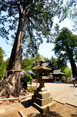 富士吉田｜北口本宮冨士浅間神社　境内の様子