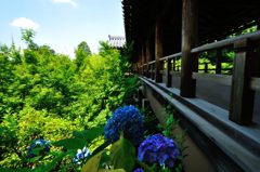 京都2014夏｜東福寺