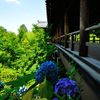 京都2014夏｜東福寺