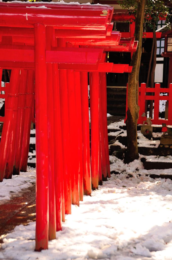 氷川神社｜稲荷神社鳥居