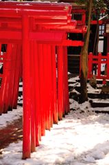 氷川神社｜稲荷神社鳥居