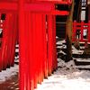 氷川神社｜稲荷神社鳥居