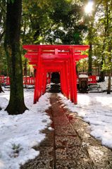 氷川神社｜稲荷神社鳥居