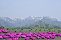 白山