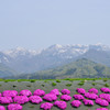 白山