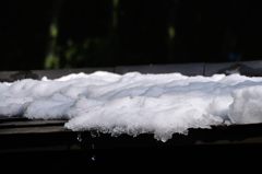 氷川神社｜雪解け