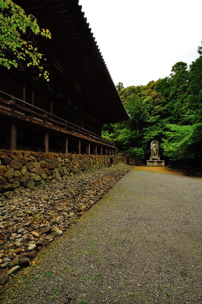 京都2014夏｜神護寺