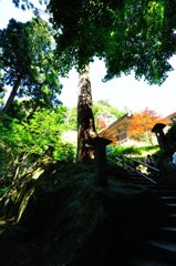 山形｜宝珠山 立石寺（山寺） 楼門