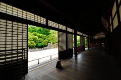 京都2014夏｜南禅寺塔頭金地院