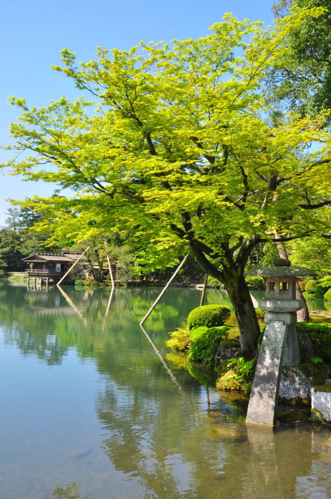 兼六園　池と石灯篭