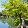 兼六園　池と石灯篭