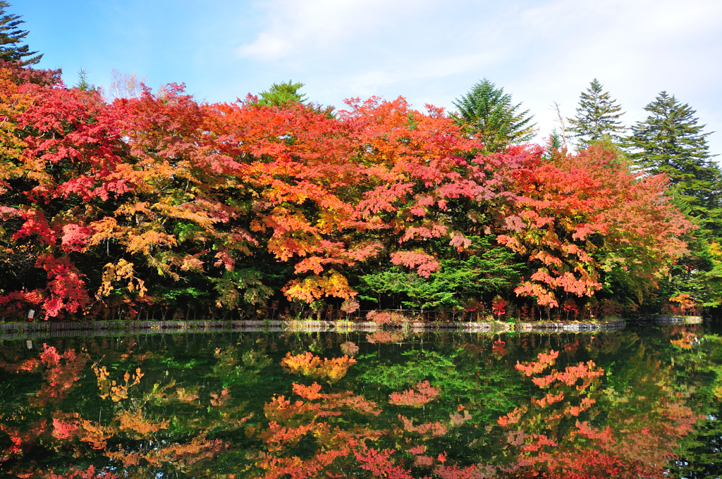 雲場池の紅葉