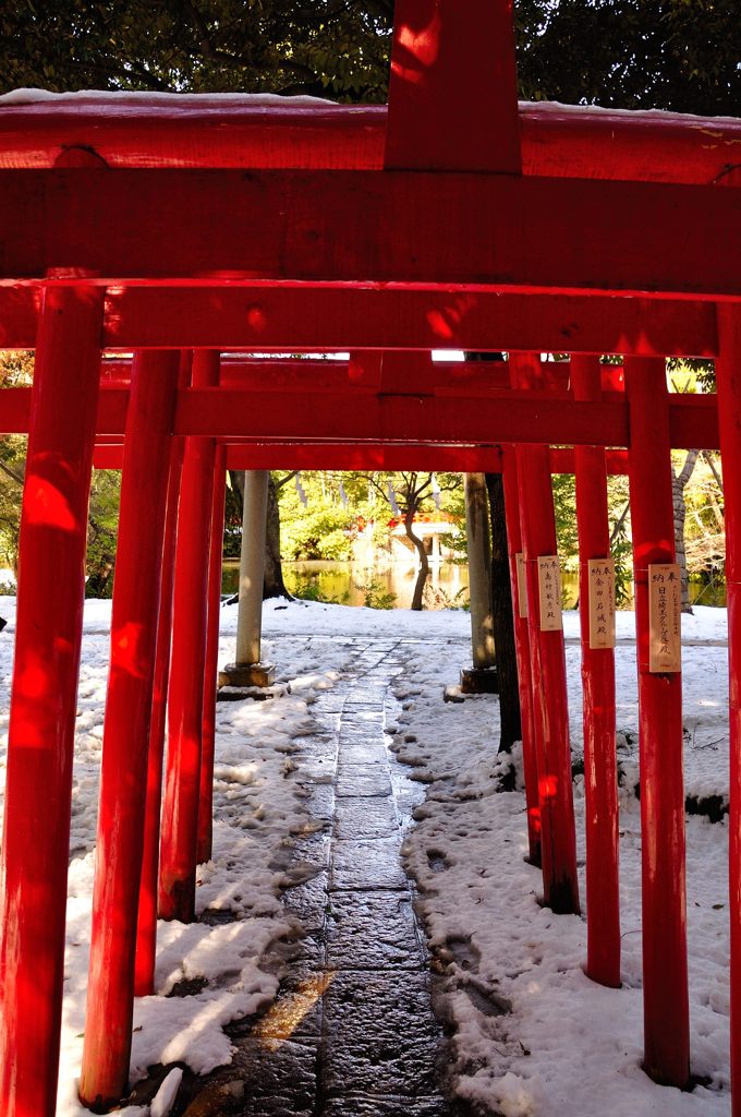 氷川神社｜稲荷神社鳥居