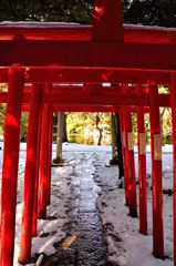 氷川神社｜稲荷神社鳥居