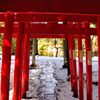 氷川神社｜稲荷神社鳥居