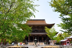 金峯山寺蔵王堂