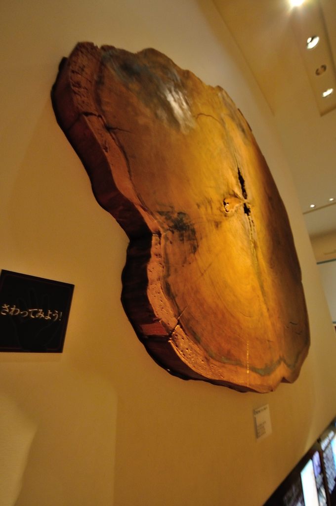 山陰｜古代出雲歴史博物館