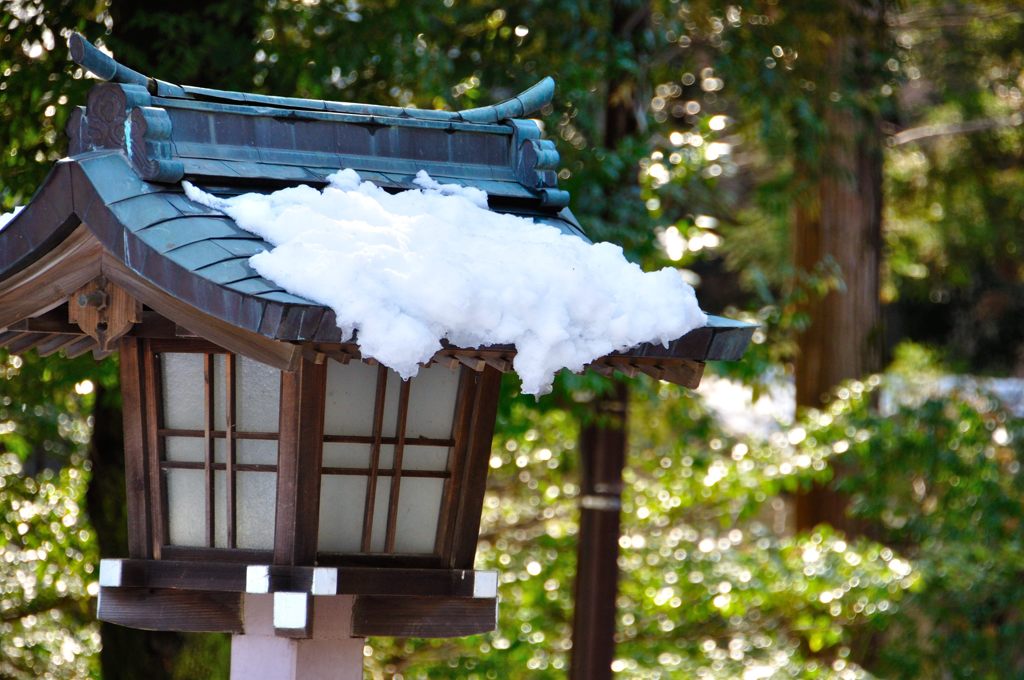 氷川神社｜0019