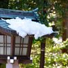 氷川神社｜0019